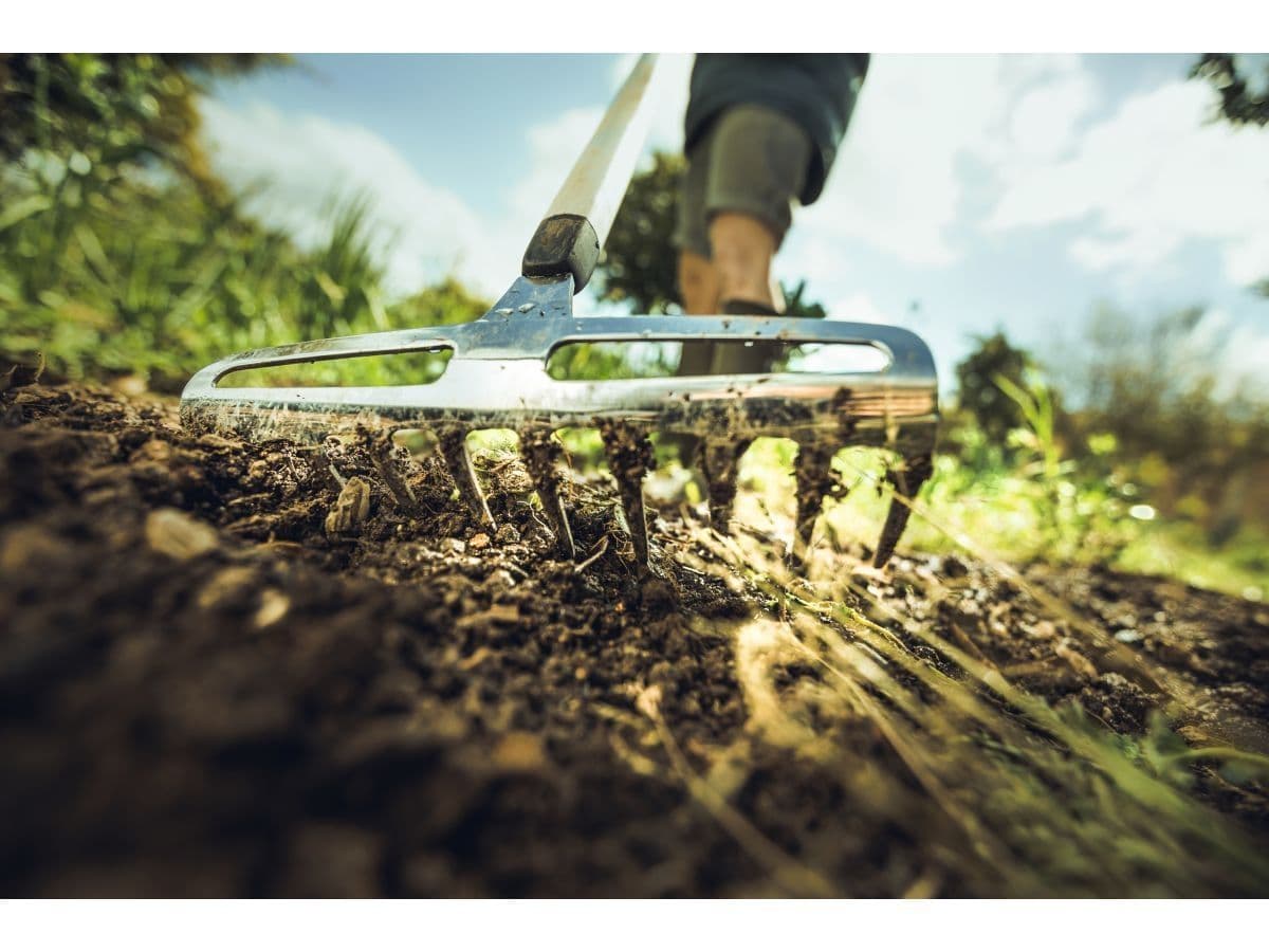Грабли для роз малые Xact FISKARS - изображение 4