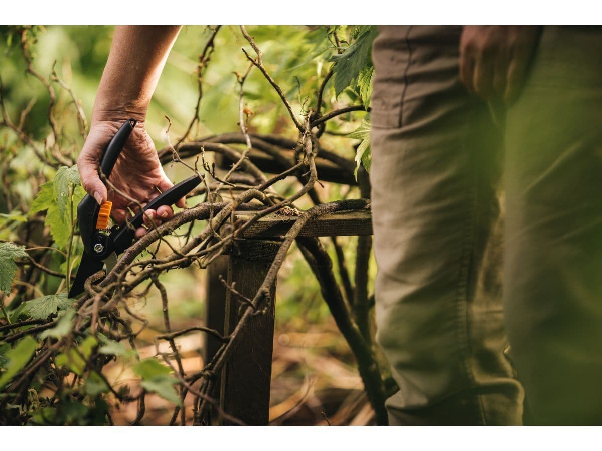 Секатор плоскостной FISKARS Single Step - изображение 4