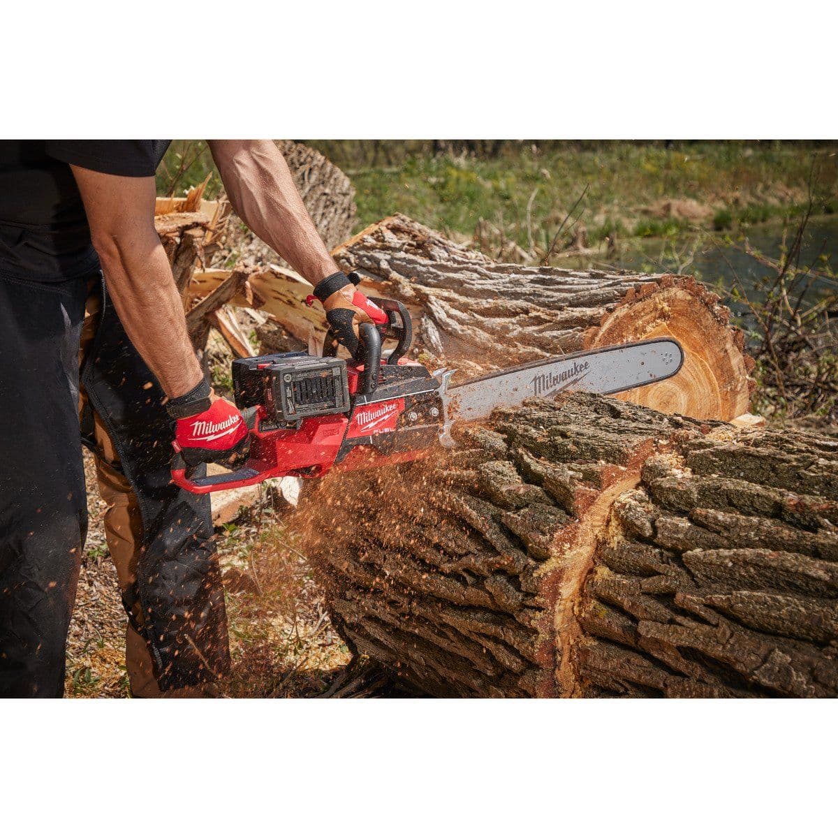 Шина для цепной пилы M18 F2CHS50 20’'/50cm - изображение 3