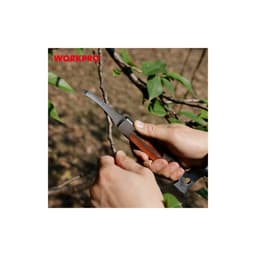 Миниатюра 21