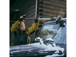 Миниатюра 10