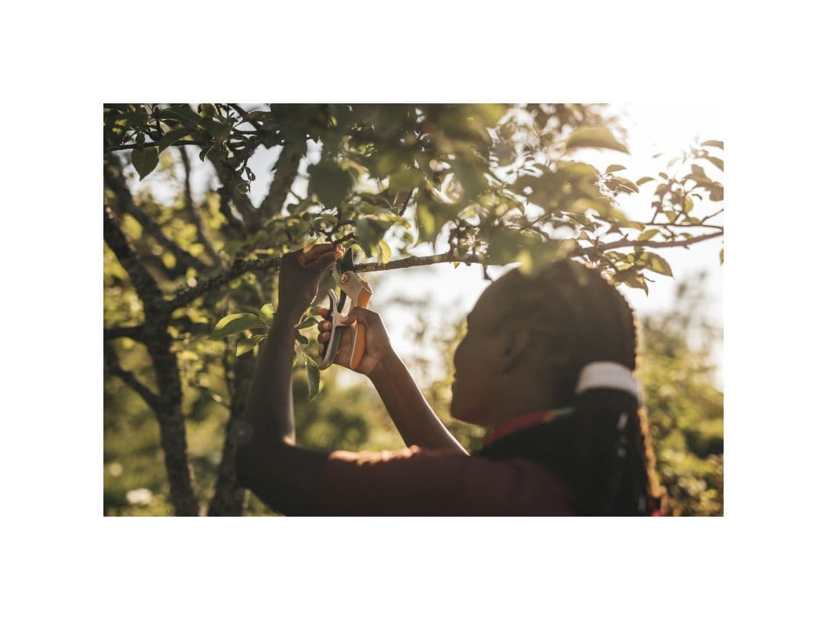 Секатор плоскостной металлический FISKARS Plus PowerLever P751 - изображение 6