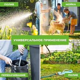 Миниатюра 6