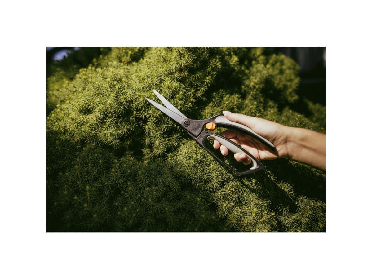 Ножницы для травы GS50 FISKARS - изображение 3