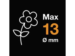 Миниатюра 8