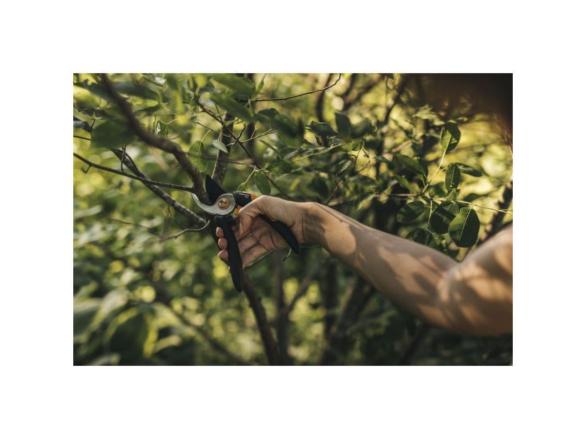 Секатор плоскостной Solid P321 FISKARS - изображение 4