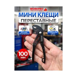 Миниатюра 6