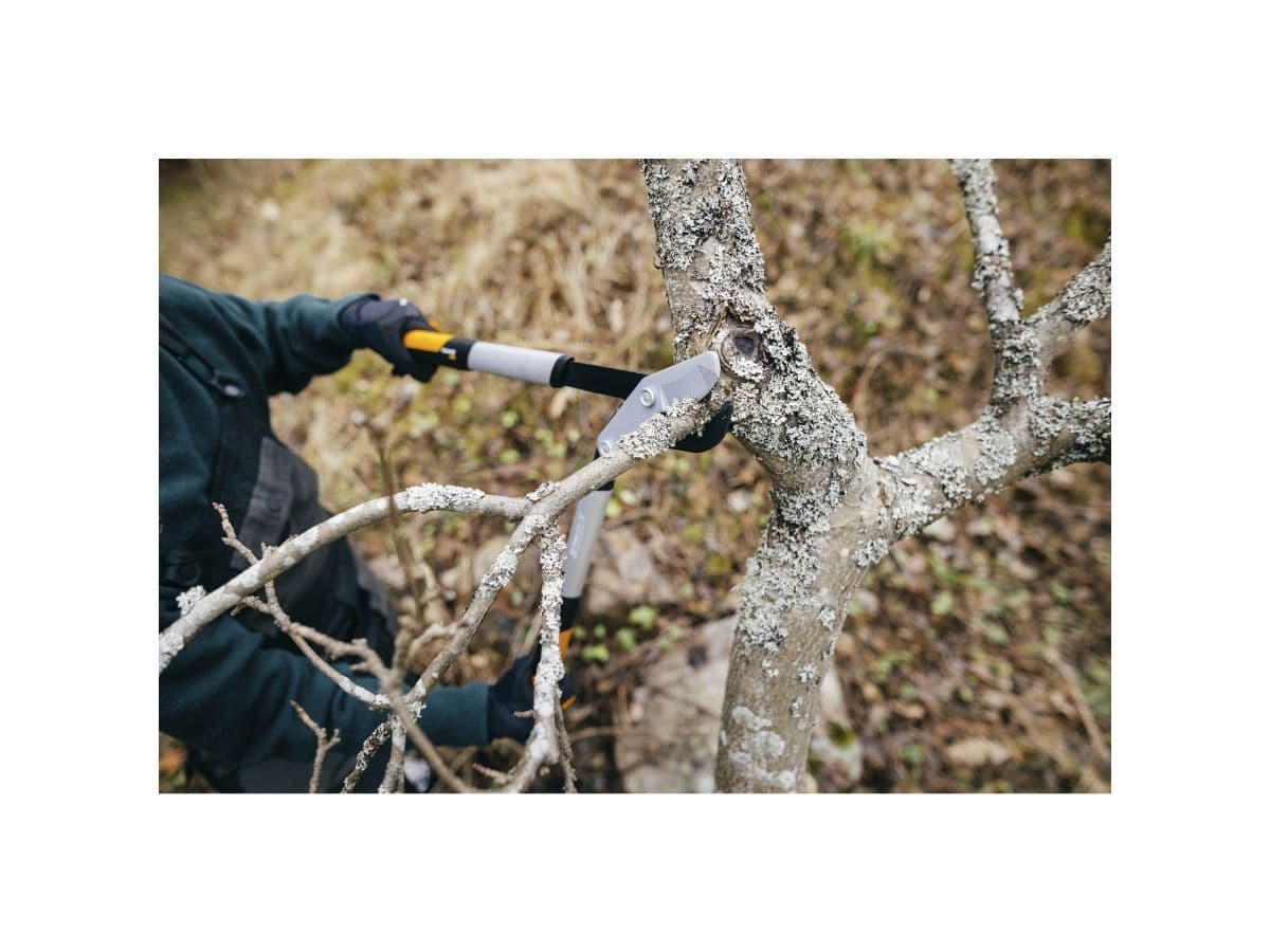 Сучкорез плоскостной LX94 FISKARS PowerGear X средний - изображение 8