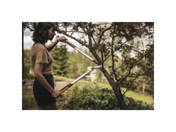 Миниатюра 10