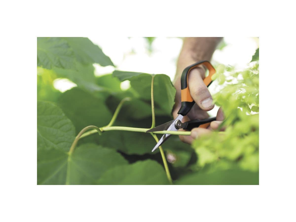 Ножницы для цветов SP15 Solid FISKARS - изображение 10