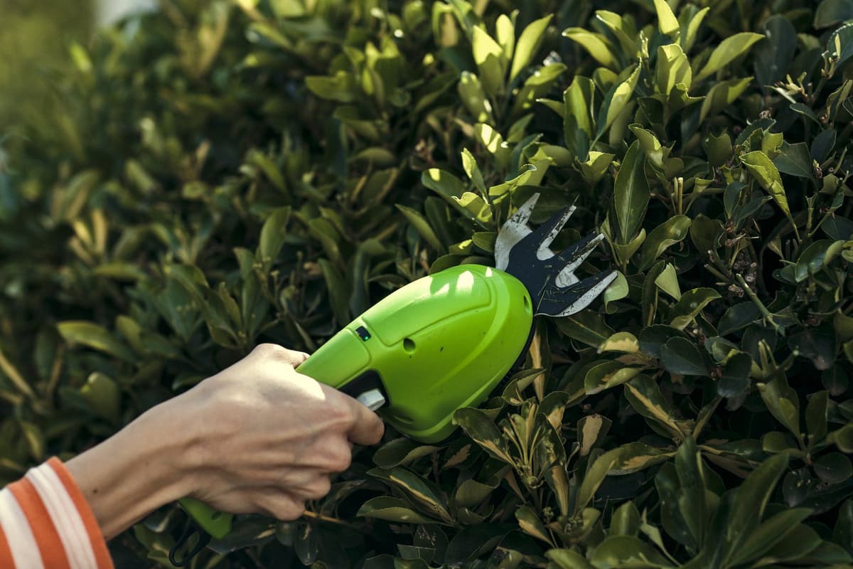 Greenworks 7,2V с встроенным АКБ  2 Ah и телескопической ручкой - изображение 13