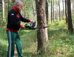 Миниатюра 45